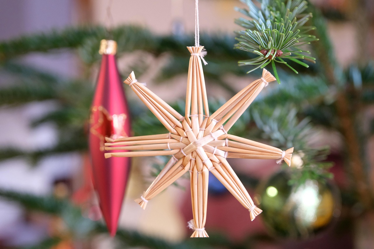 Addio Stella di Natale: queste 4 piante stregano le feste con colori e stile mai visti prima