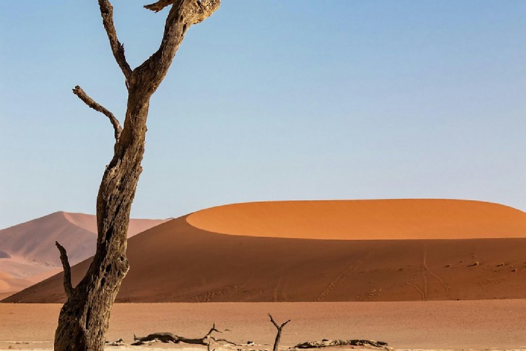 Il caldo estremo dominerà la Terra: mammiferi eliminati e nascerà un supercontinente